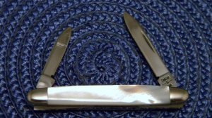 Case XX SS USA 10 Dot (1980) Pearl 8201 Pen Knife