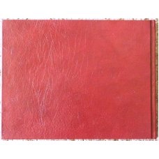 Case The First 100 Years Book by James S. Giles - Premiere Hardback Edition c.1989