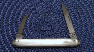 Case XX USA 8 Dot (1972) Pearl 8261 Pen Knife