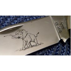 Case XX USA 6 Dot (1974) Laminated Wood 6250 Etched Elephant Toe Knife Case XX USA 6 Dot (1974) Laminated Wood 6250 Etched Elephant Toe Knife