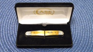 Case XX USA 2008 Appaloosa Bone 6308WH SS Engraved Whittler Knife - NIB