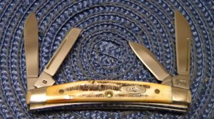 Case XX USA 2003 Bone Stag 6.5468 SS Congress Knife