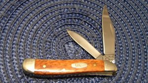 Case XX USA 2012 Bone 6220 SS Peanut Knife