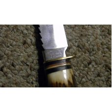 Puma Germany Stag Skinner w/Saw Teeth Fixed Blade Sheath Knife Puma Germany Stag Skinner w/Saw Teeth Fixed Blade Sheath Knife