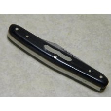 Fight'n Rooster Germany Frank Buster Cutlery Co. Buffalo Horn 1 Blade Jack Knife Fight'n Rooster Germany Frank Buster Cutlery Co. Buffalo Horn 1 Blade Jack Knife