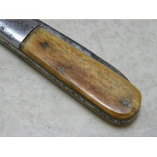 W.H. Morley & Sons Germany Bone Clover Brand 1 Blade Barlow Knife c.1913-1927 W.H. Morley & Sons Germany Bone Clover Brand 1 Blade Barlow Knife c.1913-1927