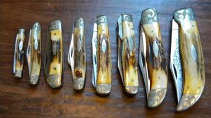 Case XX Stainless USA 3 Dot (1977) Stag Engraved Bolsters Blue Scroll 8 Knife Set
