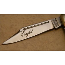 Parker Cut Co Surgical Steel Japan Bone Eagle Brand Eaglet Jack Knife in Box Parker Cut Co Surgical Steel Japan Bone Eagle Brand Eaglet Jack Knife in Box