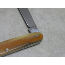 Hen & Rooster Solingen Stainless Carters Germany Celluloid Pen Knife c.1960-1983 