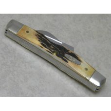 Case XX USA 2007 Genuine Stag 54052 SS Congress Knife in Box Case XX USA 2007 Genuine Stag 54052 SS Congress Knife in Box