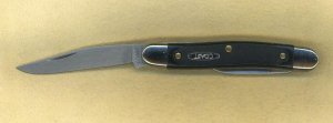 Coast Cutlery Penknife