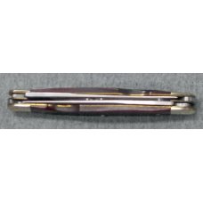 Western Muskrat #W236 Western Muskrat #W236