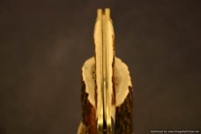 Schatt & Morgan #69 Straight Jack Knife Exclusive Limited Production. #597-601 Schatt & Morgan #69 Straight Jack Knife Exclusive Limited Production. #597-601