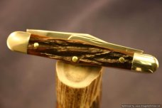 Queen Cutlery #48SB Stag Bone Whittler.  #514