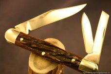 Queen Cutlery #48SB Stag Bone Whittler.  #514