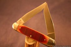 Queen City Cutlery #203 Cigar Muskrat. #600 Queen City Cutlery #203 Cigar Muskrat. #600