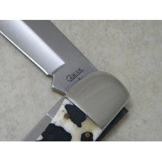 Case XX USA 2009 Holstein Cow Natural Bone 6265 SS Folding Hunter Knife & Pouch in Box