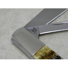 Case XX USA 2006 Bone 62009 1/2 SS Limited Edition Barlow Knife Case XX USA 2006 Bone 62009 1/2 SS Limited Edition Barlow Knife