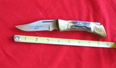 Rare Case Shark Tooth Knife Engraved Serial Number Stag 1981 ODB 031 "As New" Nine Dot Rare Case Shark Tooth Knife Engraved Serial Number Stag 1981 ODB 031 "As New" Nine Dot