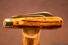 Queen City Cutlery #69 Sambar Stag Barlow. 1 of 15 Issued. #626 Queen City Cutlery #69 Sambar Stag Barlow. 1 of 15 Issued. #626