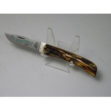 Case XX USA 1976 Stag 5137SS Kentucky Bicentennial Sodbuster Knife - In Box Case XX USA 1976 Stag 5137SS Kentucky Bicentennial Sodbuster Knife - In Box