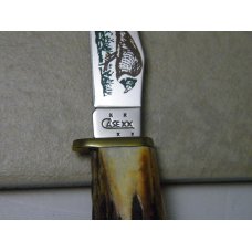 Case XX USA 2007 SS Genuine Stag 523-3 1/ 4 Deer Hunter Fixed Blade Sheath Knife in Box Case XX USA 2007 SS Genuine Stag 523-3 1/ 4 Deer Hunter Fixed Blade Sheath Knife in Box