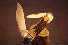 Schatt & Morgan Cutlery #64 Torched Stag Canoe Short Run 1 of 30.   #1404