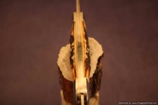 Schatt & Morgan Cutlery #64 Torched Stag Canoe Short Run 1 of 30.   #1404
