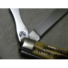 Case XX 2005 Bone-Stag 6.5282SP Baby Doctor's Knife - New in Box Case XX 2005 Bone-Stag 6.5282SP Baby Doctor's Knife - New in Box