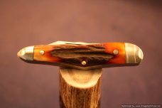 Tuna Valley Cutlery Amber Stag Humpback Whittler. 1 of 50. #587 Tuna Valley Cutlery Amber Stag Humpback Whittler. 1 of 50. #587