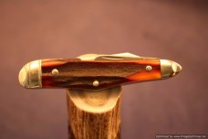 Tuna Valley Cutlery Amber Stag Humpback Whittler. 1 of 50. #587 Tuna Valley Cutlery Amber Stag Humpback Whittler. 1 of 50. #587