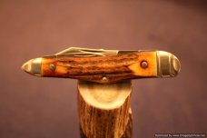 Tuna Valley Cutlery Genuine India Burnt Stag Humpback Whittler. 1 of 50. #592 Tuna Valley Cutlery Genuine India Burnt Stag Humpback Whittler. 1 of 50. #592