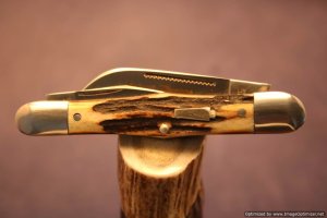 Schatt & Morgan #48 Sheepsfoot Half Whittler.  #1142