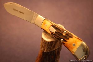 Schatt & Morgan Cutlery  #08 Stag Shinner, Factory Sample 1 of 2 Issued.  #1422