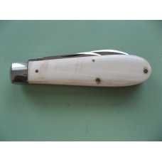 SCHATT & MORGAN MAMMOTH IVORY TEARDROP JACK KNIFE SCHATT & MORGAN MAMMOTH IVORY TEARDROP JACK KNIFE
