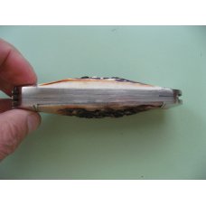 TUNA VALLEY BURNT STAG SLEEVEBOARD SUNFISH WHITTLER TUNA VALLEY BURNT STAG SLEEVEBOARD SUNFISH WHITTLER