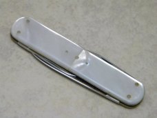 Vintage Unbranded Made in Germany Rostrfei Genuine Mother of Pearl Lobster Knife