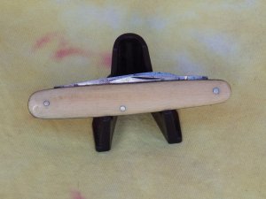 LF&C 2 Blade Office knife  Ivory  Handles?      