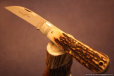 Great Eastern Cutlery Northfield 470116 Natural Stag Viper. SN 06 #1667 Great Eastern Cutlery Northfield 470116 Natural Stag Viper. SN 06 #1667