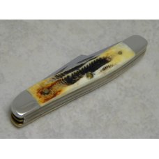 Case XX USA 2004 Genuine Burnt Bone Stag 6.53087 SS Stockman Knife in Tin Box Case XX USA 2004 Genuine Burnt Bone Stag 6.53087 SS Stockman Knife in Tin Box