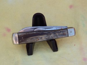 Hibbard Spencer Bartlett & Co 2 Blade Gun Stock Jack Awesome Celluloid Handles     Holiday Pricing!!