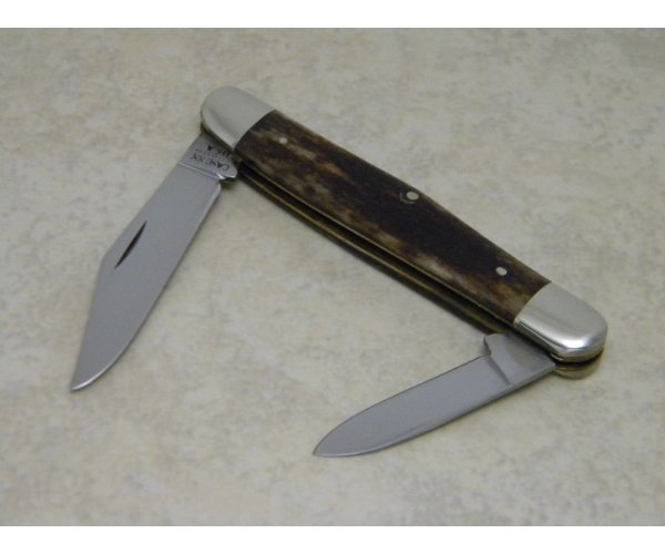Case XX USA 10 Dot (1980) Smooth Appaloosa Bone A6208 Half Whittler Knife