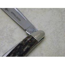 Case XX USA 1 Dot (1979) Smooth Appaloosa Bone A6220 Peanut Knife Case XX USA 1 Dot (1979) Smooth Appaloosa Bone A6220 Peanut Knife