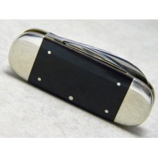 Bulldog Brand Solingen Germany Genuine Buffalo Horn Small Sunfish Knife in Box 1 of 10 c.1997 Bulldog Brand Solingen Germany Genuine Buffalo Horn Small Sunfish Knife in Box 1 of 10 c.1997
