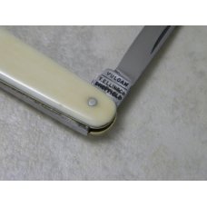 Vulcan T. Ellin & Co. Sheffield Genuine Ivory *Salesman Sample* Sleeveboard Pen Knife c.1846-1944