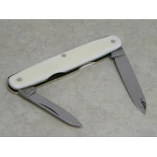 Vulcan T. Ellin & Co. Sheffield Genuine Ivory Equal End Pen Knife with Oval Shield c.1846-1944