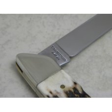 Taylor Cutlery Japan Elk Horn Surgical 1980 Stag Shark Easy Open Knife in Box Taylor Cutlery Japan Elk Horn Surgical 1980 Stag Shark Easy Open Knife in Box