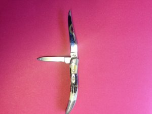 Case Knife XX USA  520096 Tiny Toothpick Blue Scrol with Scrolled Bolsters Stag