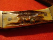 CASE XX USA 1 dot 1979 5158 LSSP Mako Prime Stag Lockback 