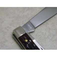 Case XX USA 1965-69 Bone 6229 1/2 Tadpole Knife Case XX USA 1965-69 Bone 6229 1/2 Tadpole Knife
